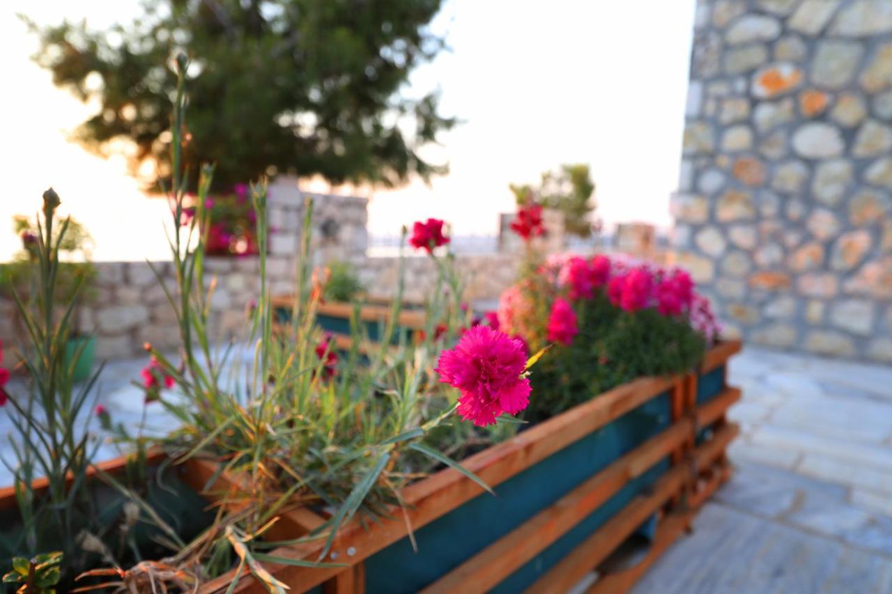 Dena Apartament Wlora
