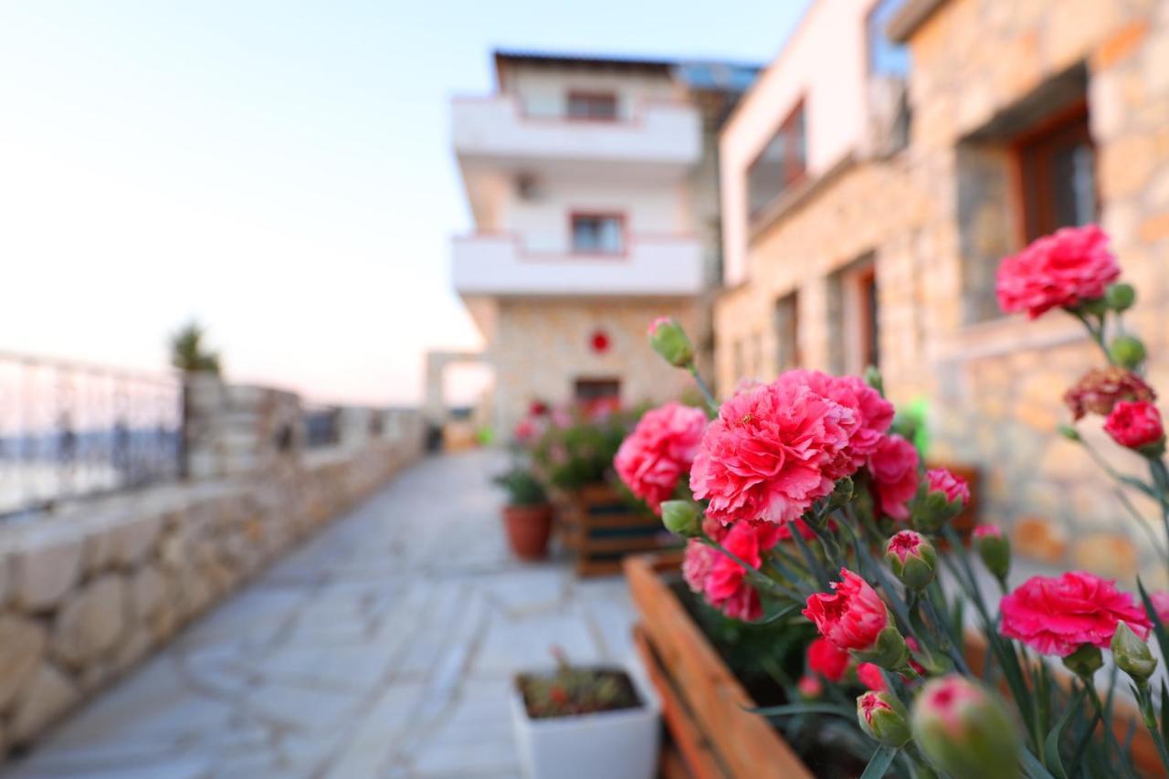 Apartament Dena Wlora